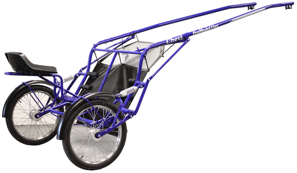 ProModel Flex